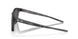 901815 - Black - Prizm Black Polarized