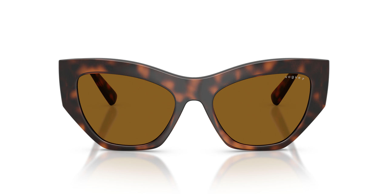 271883 - Brown - Dark Brown Polar