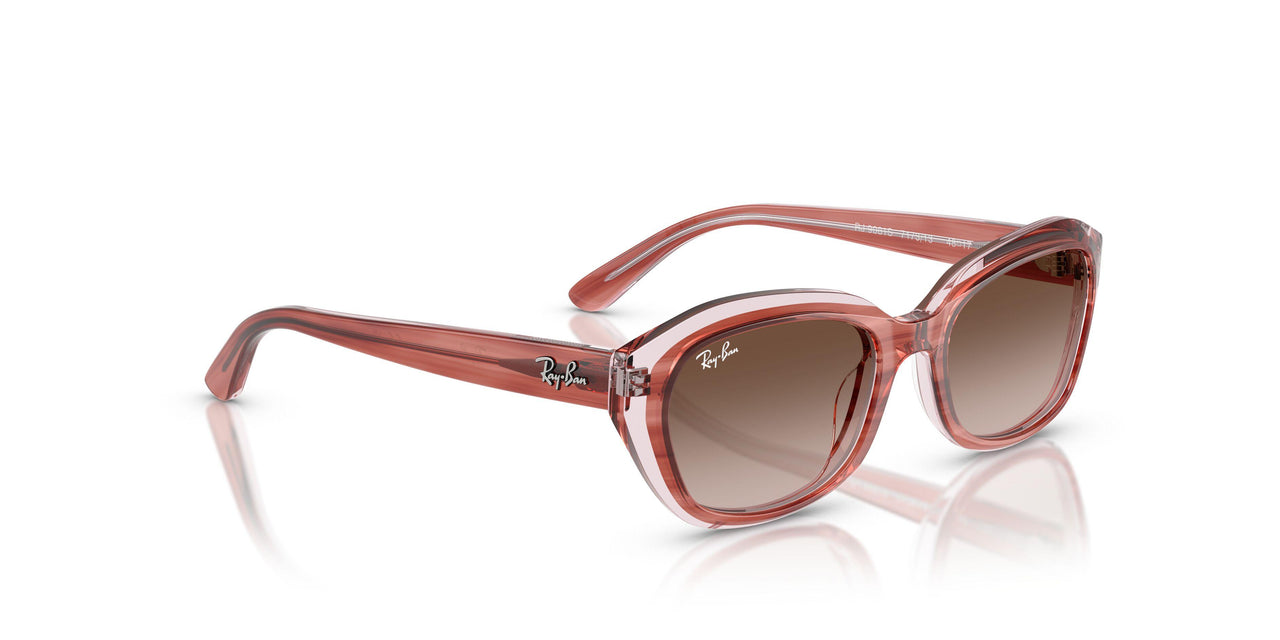 717313 - Pink - Gradient Brown