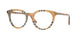 Burberry 2429 Eyeglasses