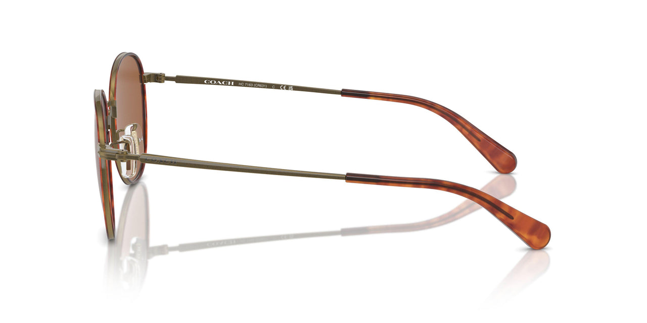 933373 - Gold - Amber Solid
