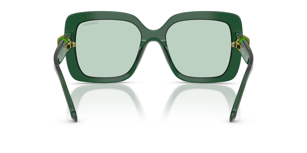 104587 - Green - Transition Green