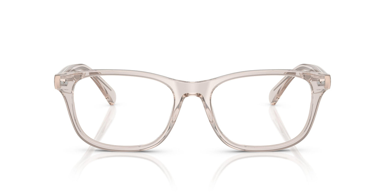 6117 - Brown
