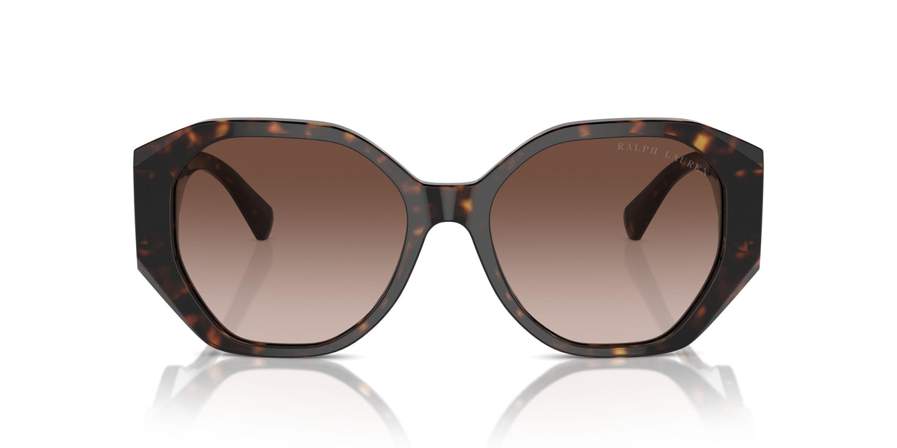 500313 - Brown - Brown Gradient
