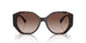 500313 - Brown - Brown Gradient