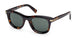 ZEGNA 0269 Sunglasses