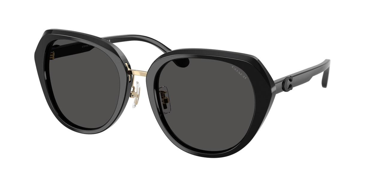 Coach Cby93 8436 Sunglasses