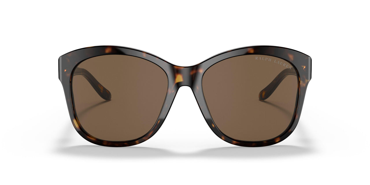 500373 - Havana - Brown