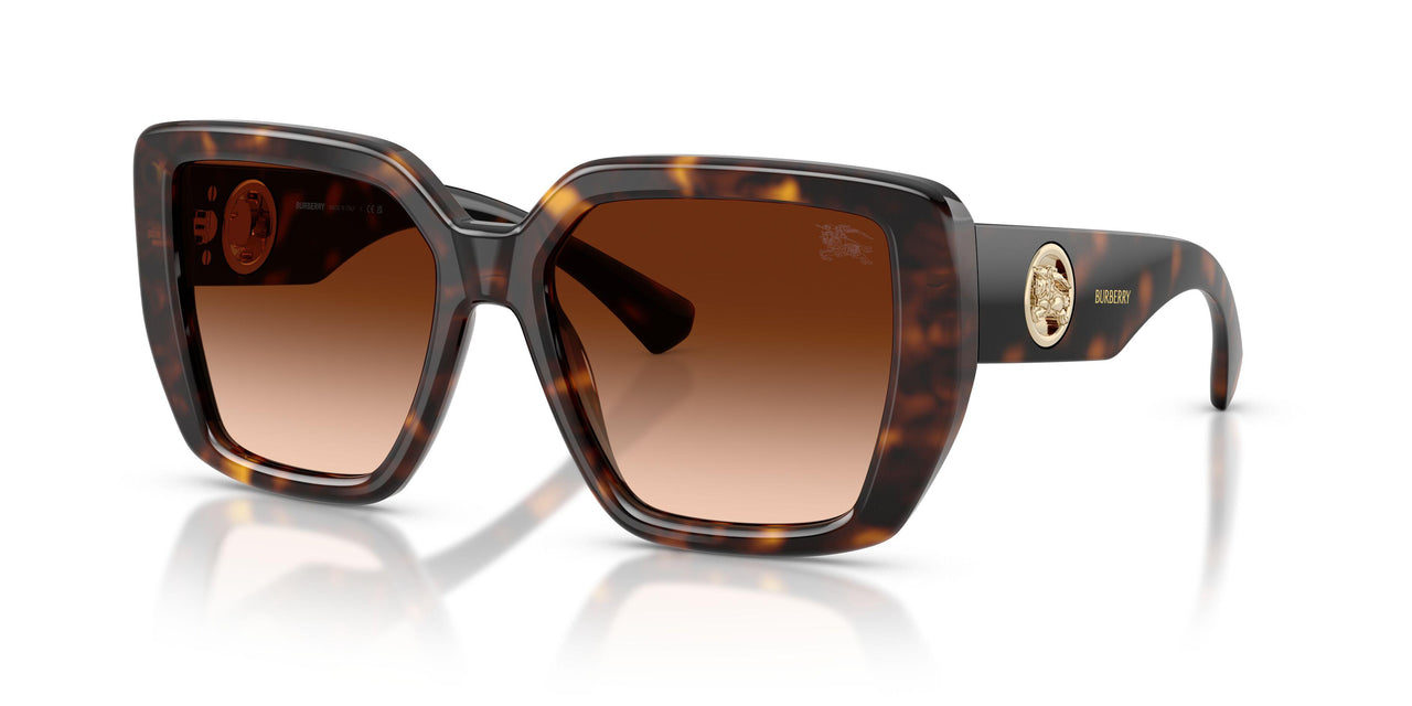 300274 - Brown - Brown Gradient