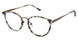 RACHEL Roy Splendid Eyeglasses