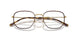 3177 - Brown - Clear