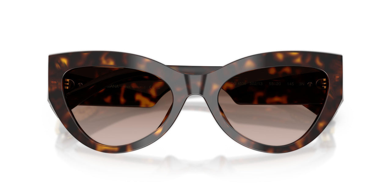 502/13 - Tortoise - Gradient Brown