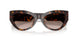 502/13 - Tortoise - Gradient Brown