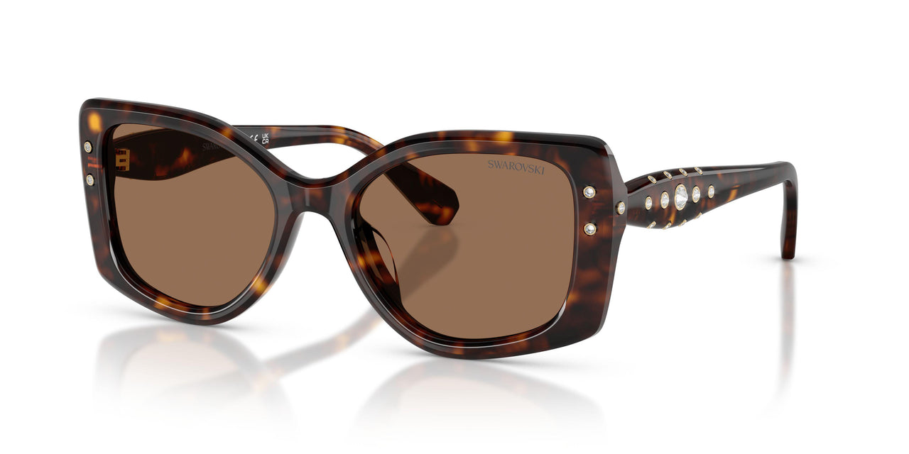 100273 - Tortoise - Dark Brown