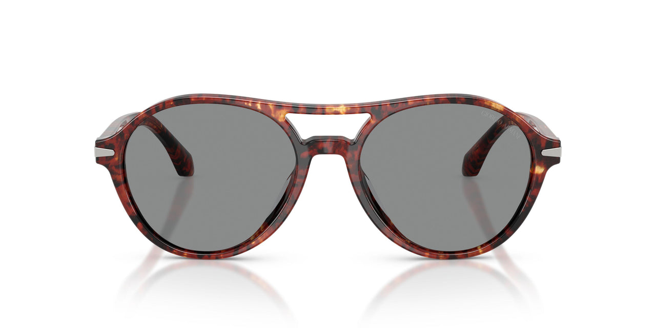 623402 - Tortoise - Blue