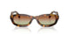 14L70T - Tortoise - Green/brown
