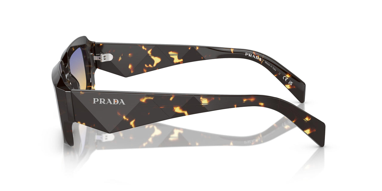 16O50E - Brown - Clear Fifty Yellow/dark Blue