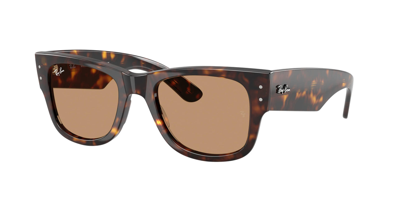 Ray-Ban Mega Wayfarer 0840SF Sunglasses