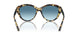 500419 - Tortoise - Gradient Blue