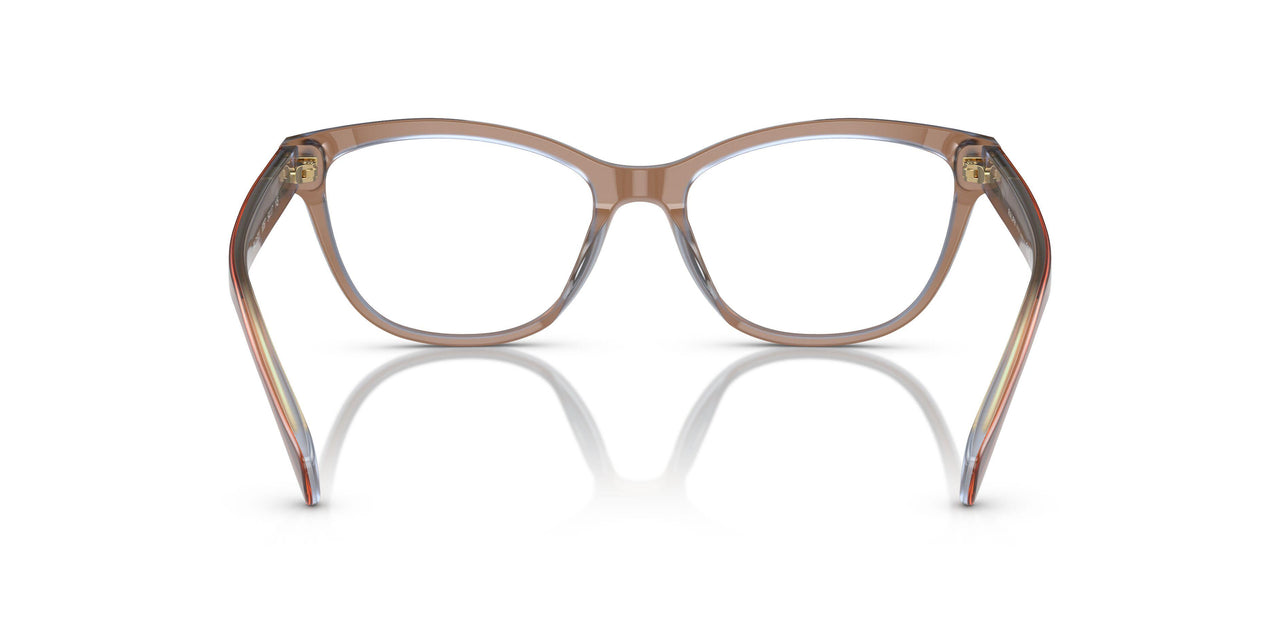 6067 - Brown