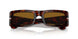 24/33 - Tortoise - Brown