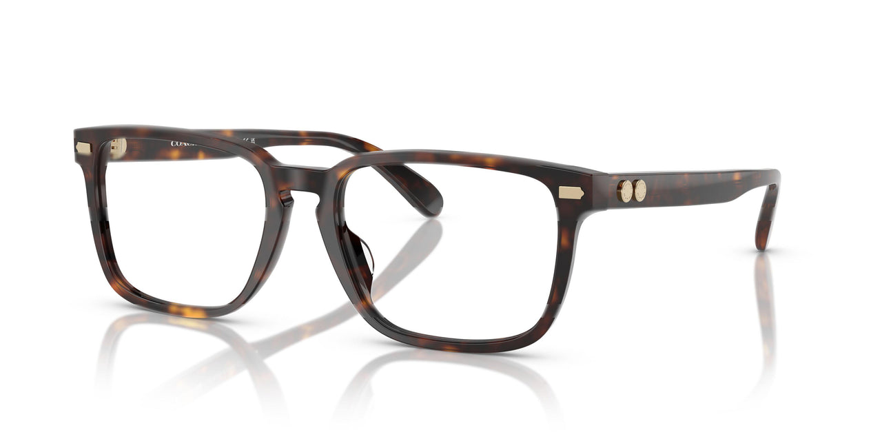 5120 - Tortoise