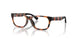 5177 - Tortoise