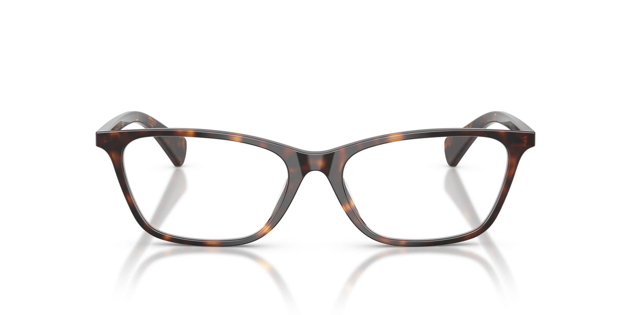5003 - Tortoise