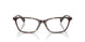 5003 - Tortoise