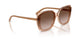 318113 - Brown - Gradient Dark Brown