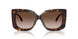 500213 - Tortoise - Gradient Brown