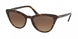 2AU6S1 - Havana - Brown Gradient