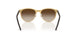 297/13 - Brown - Gradient Brown