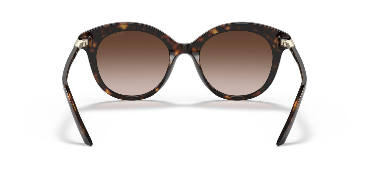 2AU6S1 - Havana - Brown Gradient