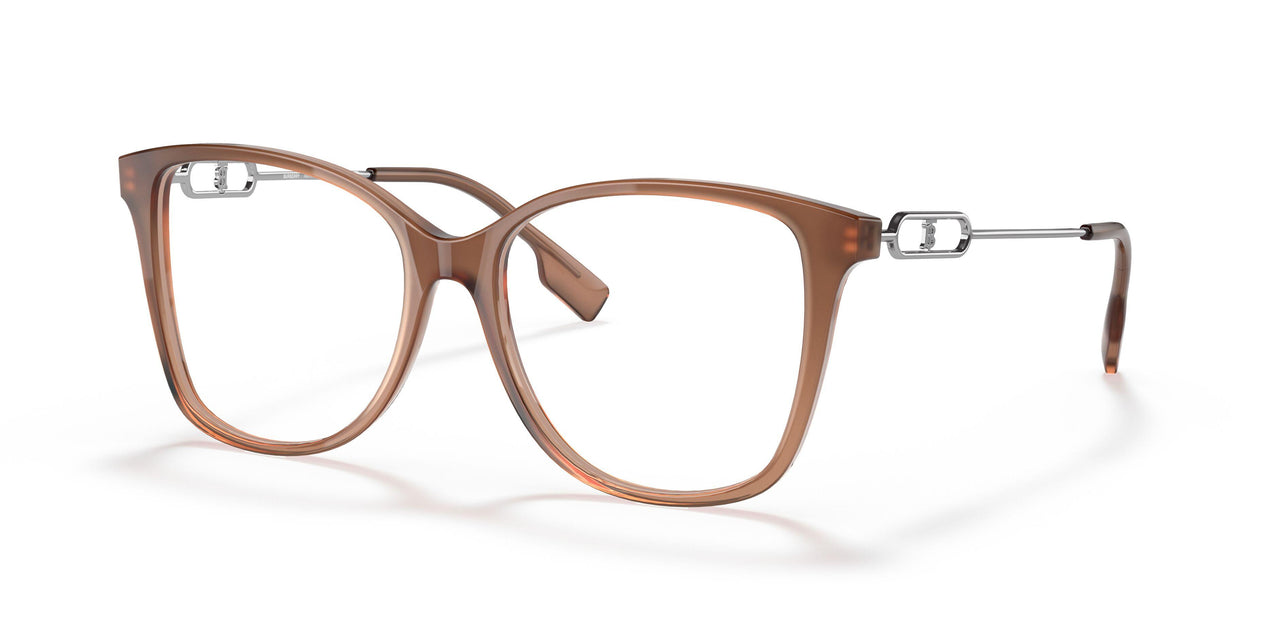 3173 - Brown