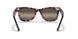 1334G3 - Havana - Polar Clear Gradient Dark Grey