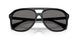 300181 - Black - Polarized Dark Grey