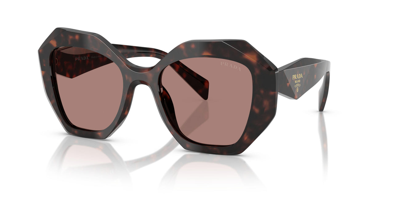 17N60B - Tortoise - Light Brown
