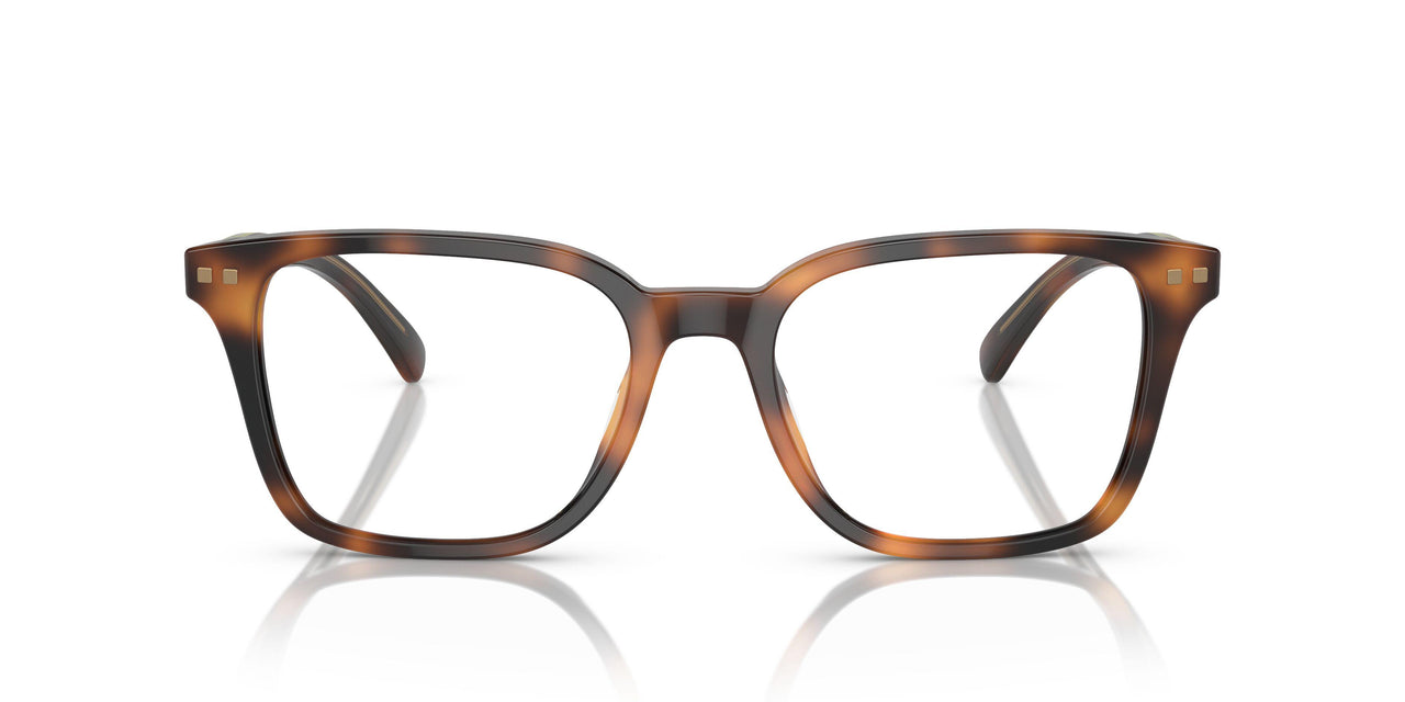 6161 - Tortoise