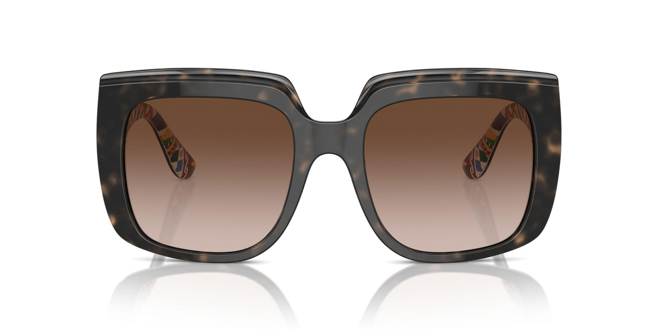 321713 - Tortoise - Gradient Brown