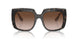 321713 - Tortoise - Gradient Brown