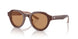 596953 - Brown - Brown