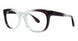 PLASTICS II NTC-2 Eyeglasses