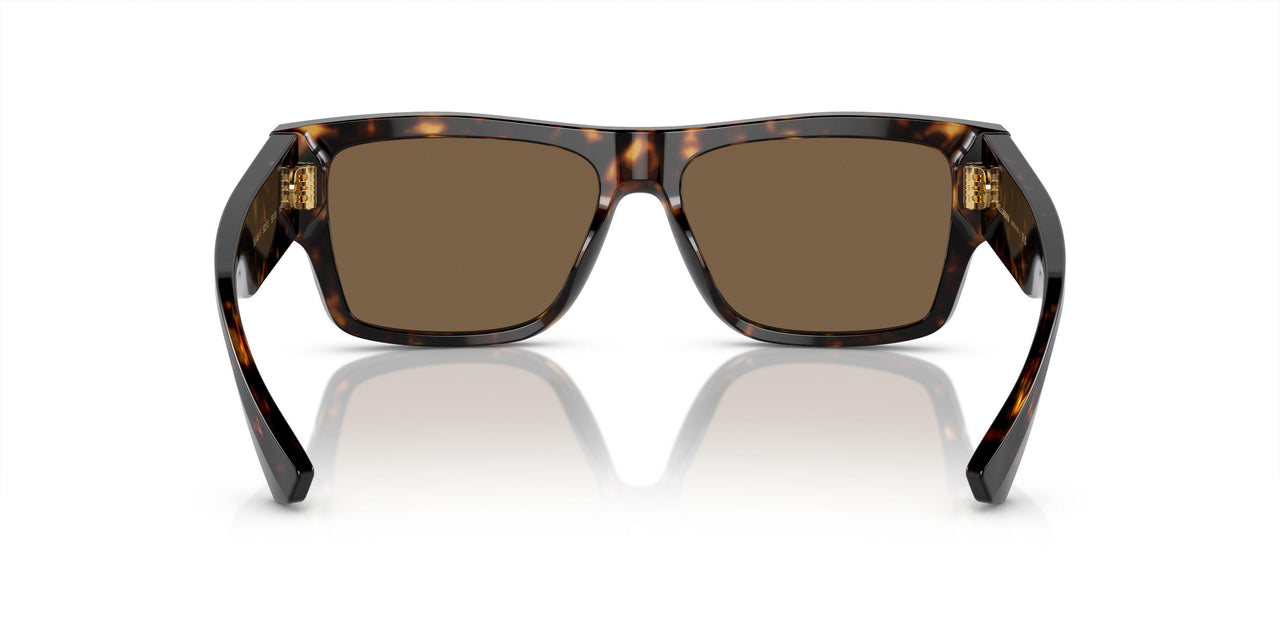 502/73 - Tortoise - Dark Brown
