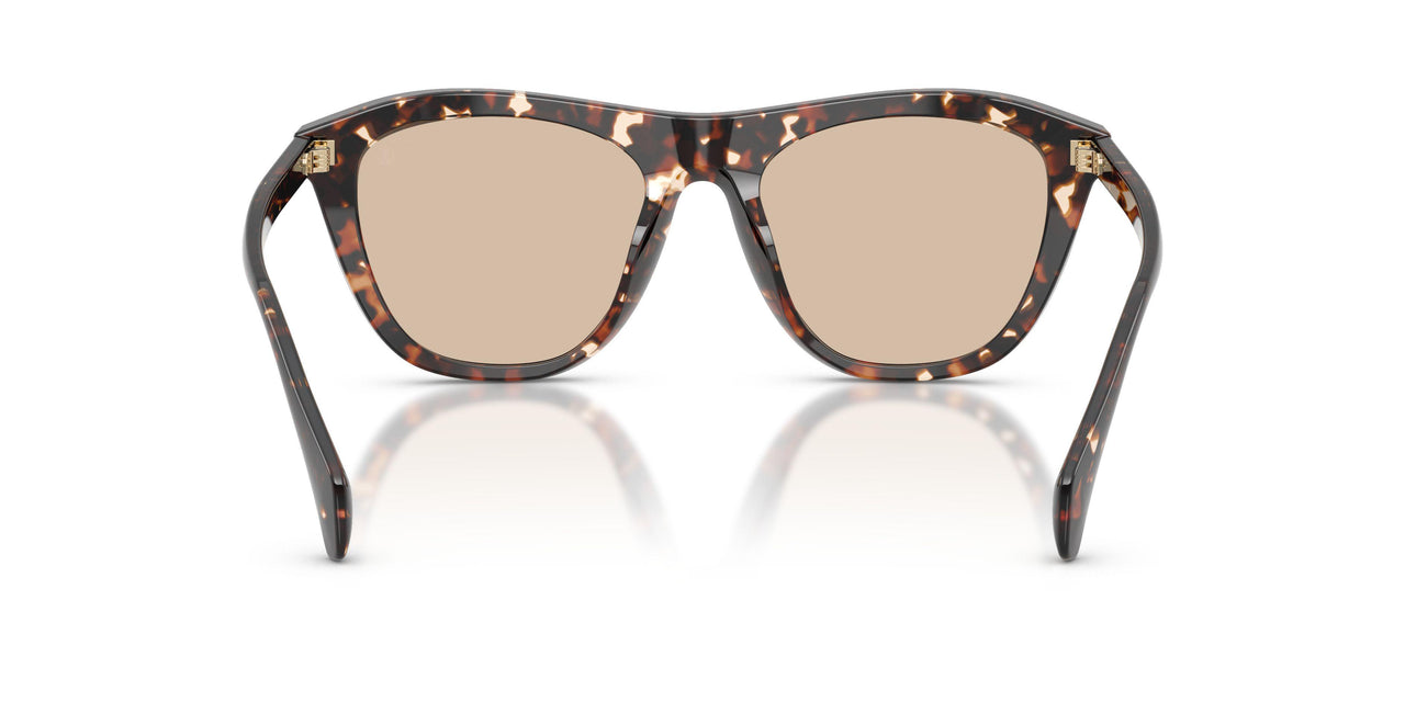304893 - Tortoise - Solid Light Brown