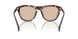 304893 - Tortoise - Solid Light Brown
