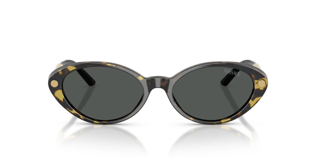 547087 - Tortoise - Dark Grey