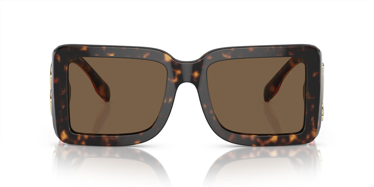 300273 - Brown - Dark Brown