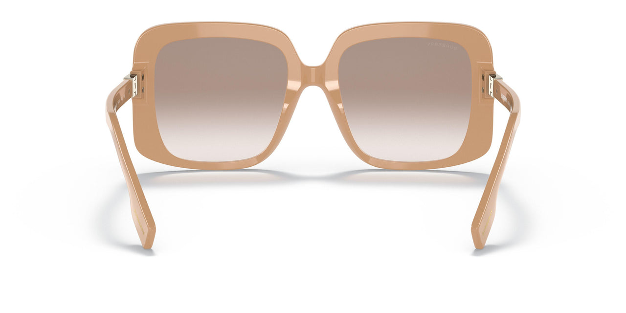 399013 - Brown - Brown Gardient