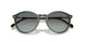 309211 - Green - Grey Gradient
